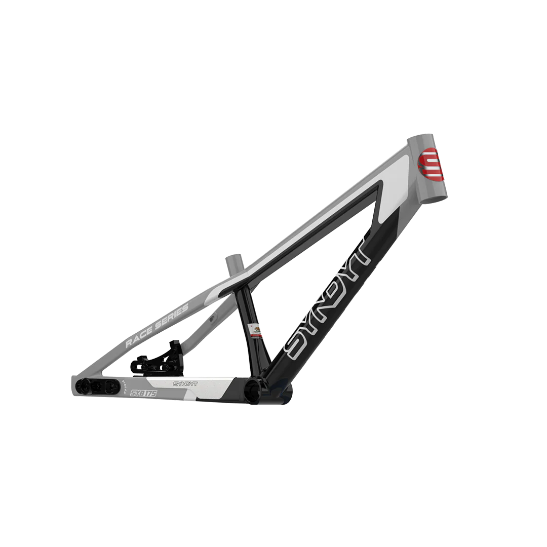 SYB 175: 17.5” TT Mini BMX Frame
