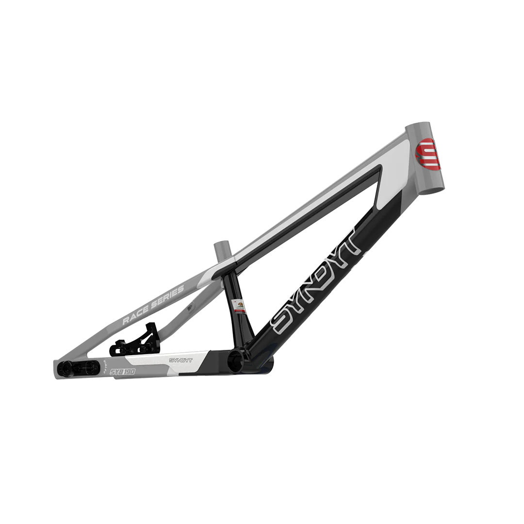 SYB 200: 20” TT Expert XL BMX Frame