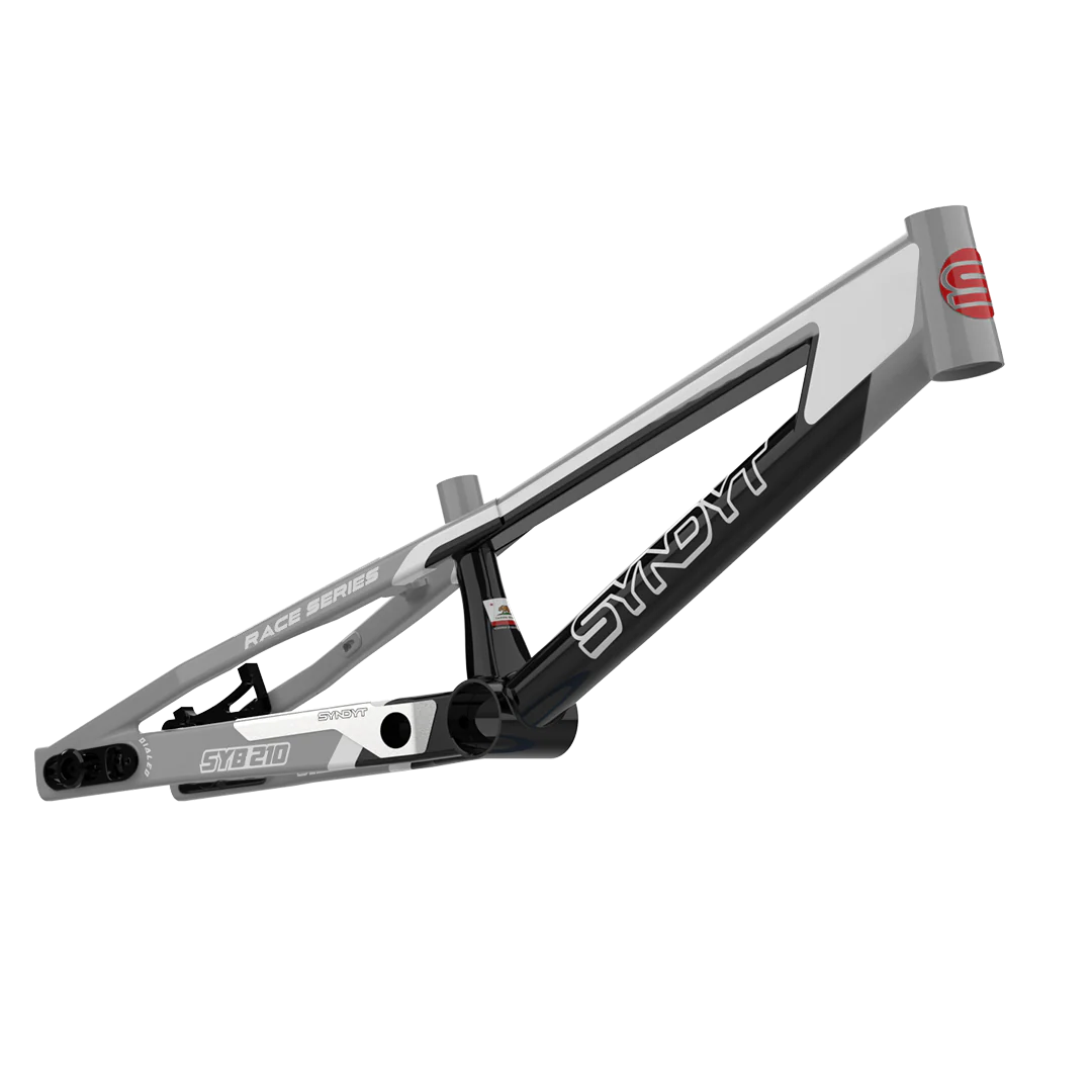 SYB 210: 21” TT Pro XL BMX Frame