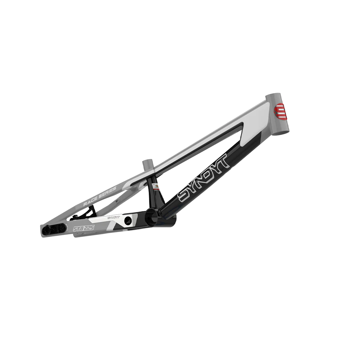 SYB 225: 22.5” TT Pro 4XL BMX Frame