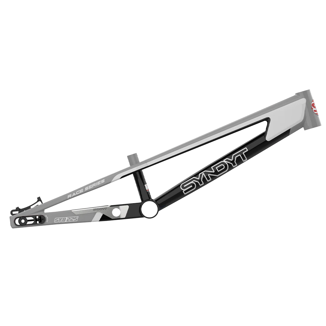 SYB 225: 22.5” TT Pro 4XL BMX Frame