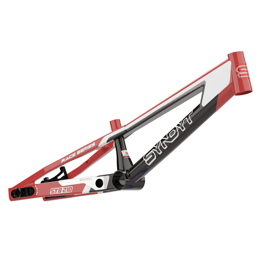 SYB 210: 21” TT Pro XL BMX Frame