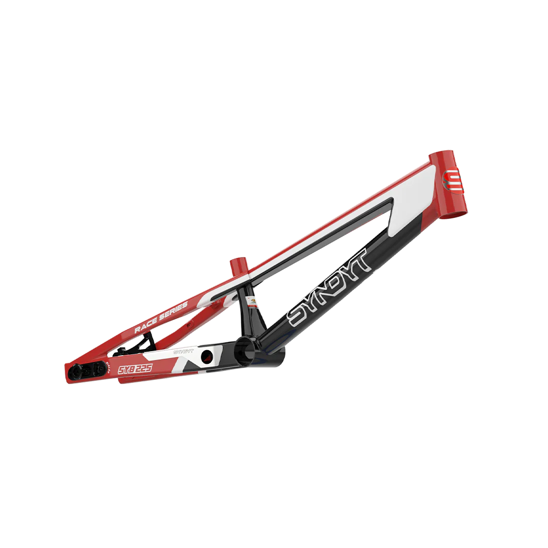 SYB 225: 22.5” TT Pro 4XL BMX Frame